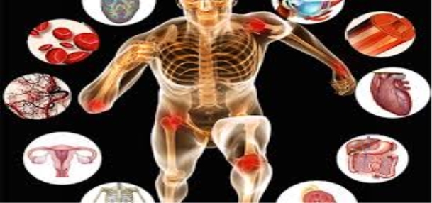 C:\Users\User\AppData\Local\Microsoft\Windows\Temporary Internet Files\Content.MSO\1576A78D.tmp